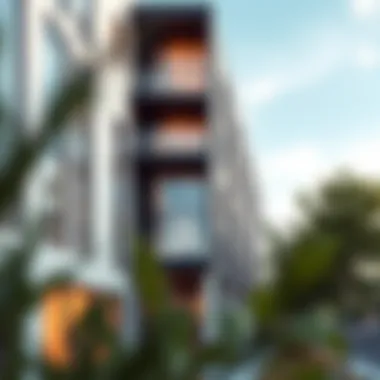 Magnificent Avalon Apartments in Dogpatch: A Comprehensive Exploration
