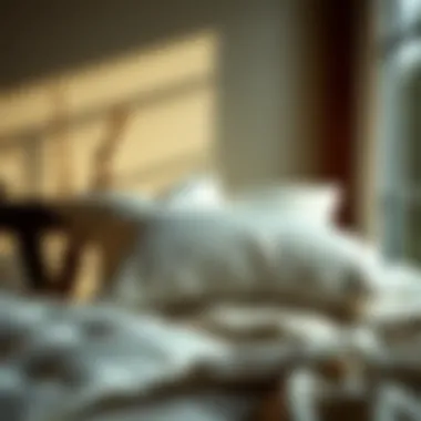 Magnificent The Most Effective Methods for Cleaning Down Pillows Magnificent The Most Effective Methods for Cleaning Down Pillows