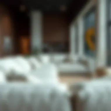 A Comprehensive Guide to Cleaning Cotton Couches Summary