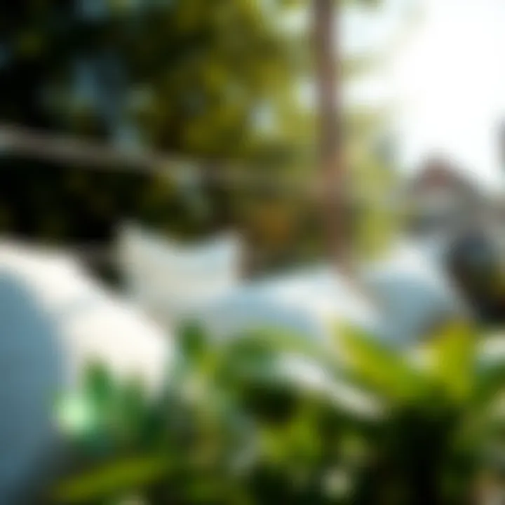 Pillows drying under sunlight on a clothesline