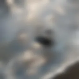 Clogged bathtub drain with water pooling