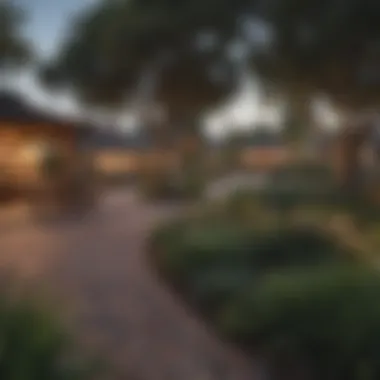 A park in San Diego filled with families enjoying the outdoors.