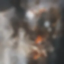 Natural ingredients for drain unclogging