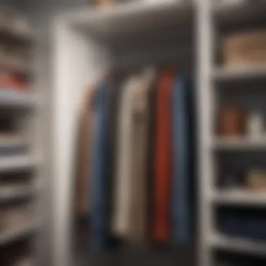 Innovative Hook and Hanger Solutions Efficient use of hooks and hangers in a closet