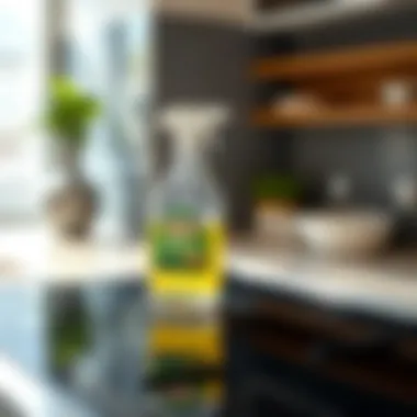 Demonstration of applying a cleaning solution to a glass stove