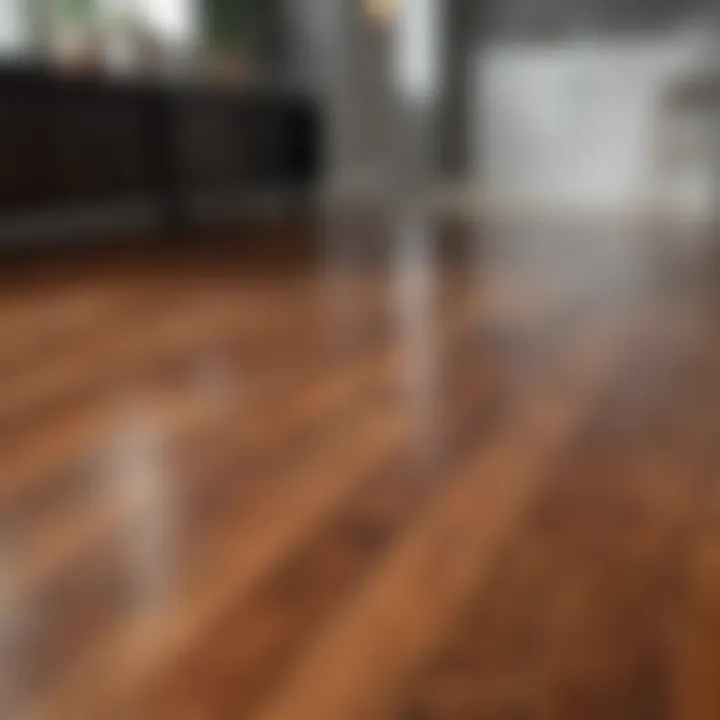 Shining hardwood floor after cleaning