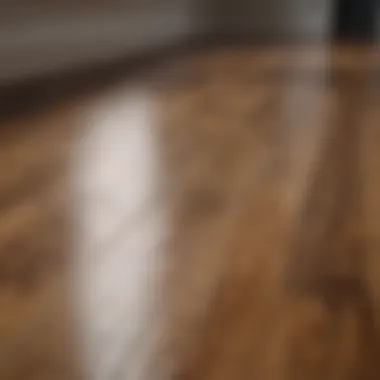 Close-up of shiny hardwood floor post-cleaning