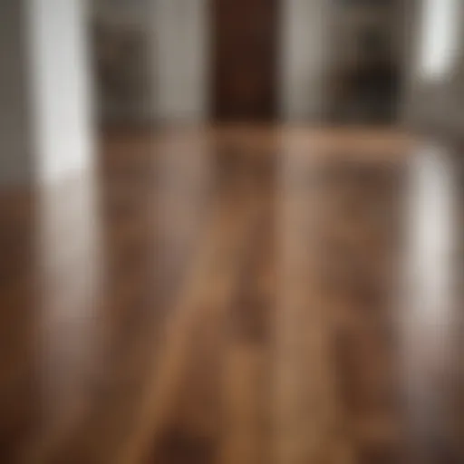 A pristine wood floor showcasing its natural grain and shine