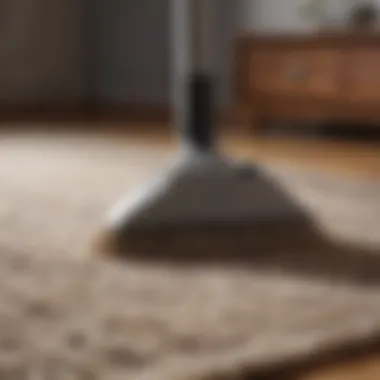 A wool rug being gently vacuumed to maintain cleanliness