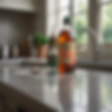 Natural cleaning agents like vinegar and baking soda on a kitchen counter