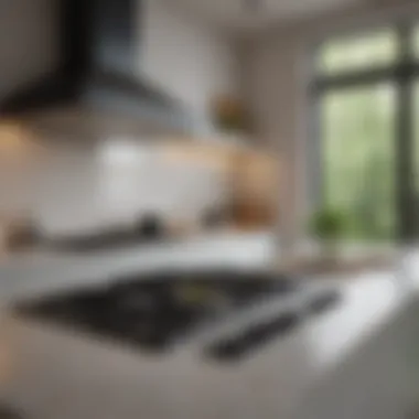 Stylish kitchen featuring ceramic stove top