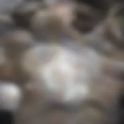 A gleaming drain snake laid out on a clean surface, showcasing its metallic coils.