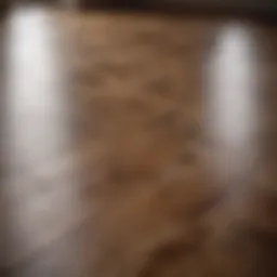 Close-up of a polished solid wood floor reflecting light