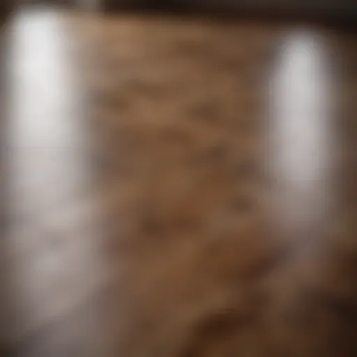 Close-up of a polished solid wood floor reflecting light