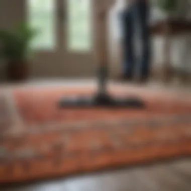 Routine cleaning of an area rug showcased in a living space