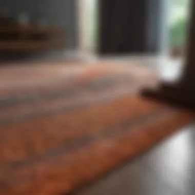 Transformation of a Cleaned Area Rug Before and after comparison of an area rug cleaning