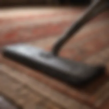 Essential tools for area rug maintenance