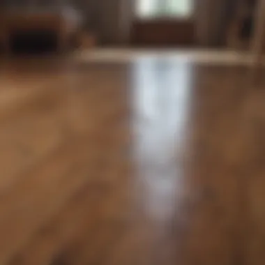 Methodical approach to cleaning wood flooring