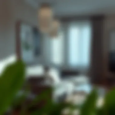 Comprehensive Guide to Cleaning Your Couch Summary