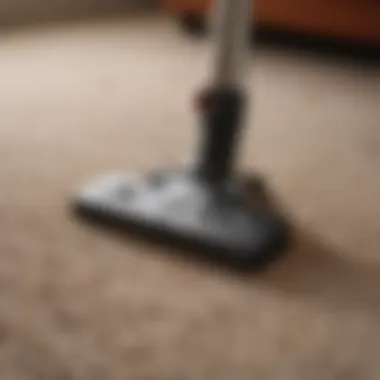 Essential Tools for Carpet Care Essential tools and materials for carpet rug maintenance laid out neatly