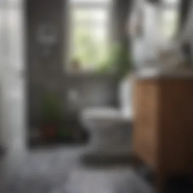 Visual guide to traditional and innovative toilet unclogging techniques