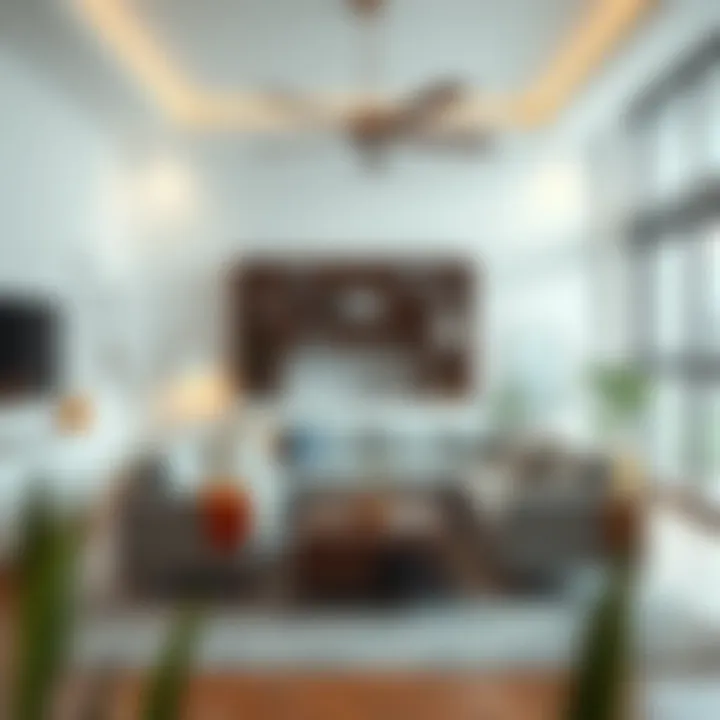 Immaculately organized living room after deep cleaning