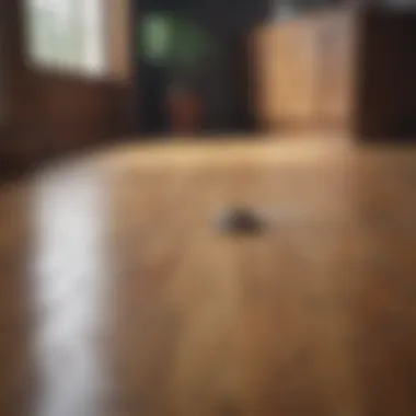 Natural cleaning agents for wood floors