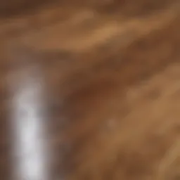 Close-up of grease stains on hardwood flooring