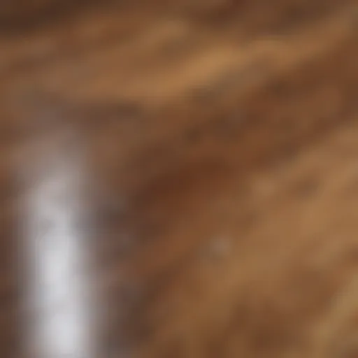 Close-up of grease stains on hardwood flooring
