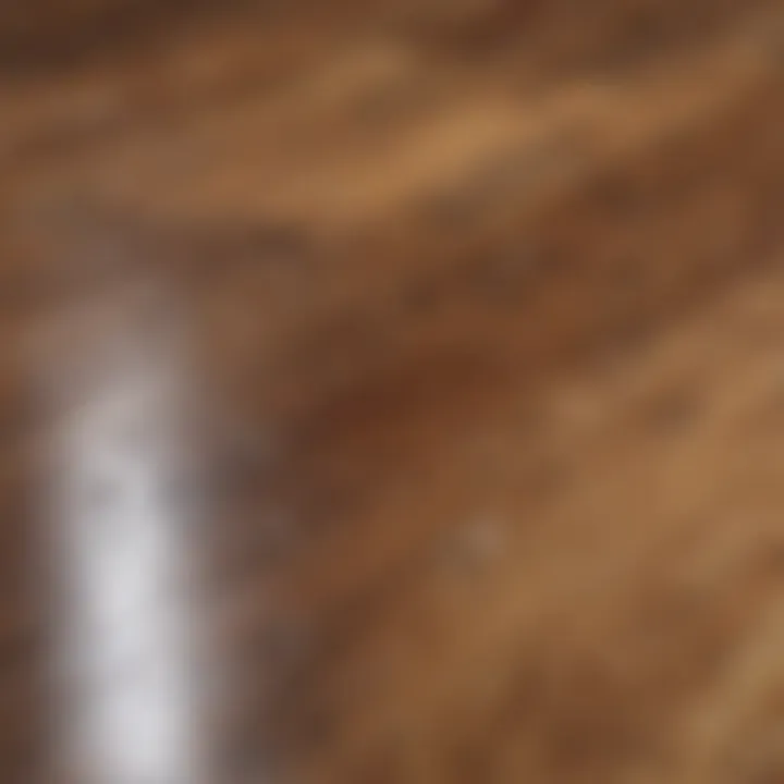Close-up of grease stains on hardwood flooring