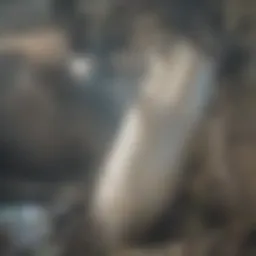 A close-up of a clogged drain showing hair buildup