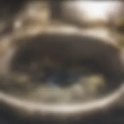 A clogged shower drain full of hair strands