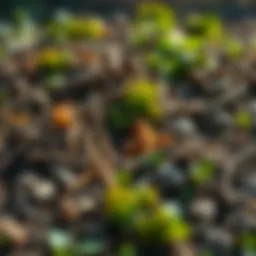 Fresh compost materials ready for rapid composting