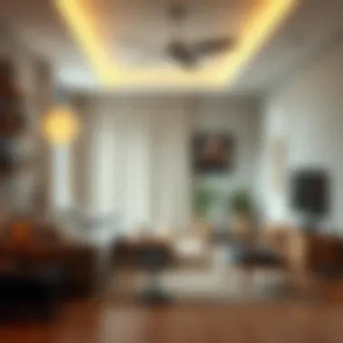 Notable Essential Purchases for Your New Apartment Notable Essential Purchases for Your New Apartment