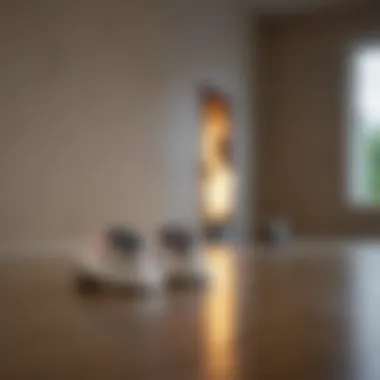 Home Safety Measures Safety measures in place for a new home, such as smoke detectors