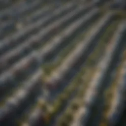 Aerial view of urban real estate development