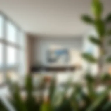 Expanding Horizons: The Intricacies of Adding Square Footage Summary
