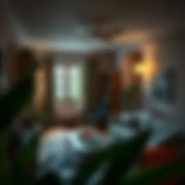 Cozy Apartment Interior Cozy apartment interior showcasing budget-friendly living