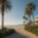 Coastal view of Santa Monica with palm trees and ocean