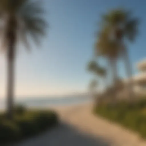 Coastal view of Santa Monica with palm trees and ocean