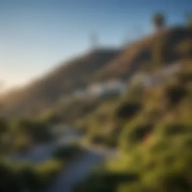 Serene Landscapes Surrounding Hollywood Sign Residences Scenic surroundings of Hollywood Sign Apartments with lush greenery