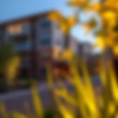 Exploring Montage at Fair Oaks Apartments Summary Exploring Montage at Fair Oaks Apartments Summary
