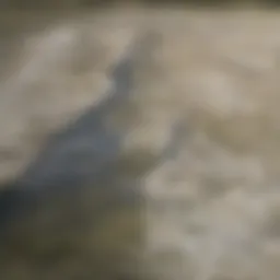 Aerial view of San Antonio showcasing various neighborhoods