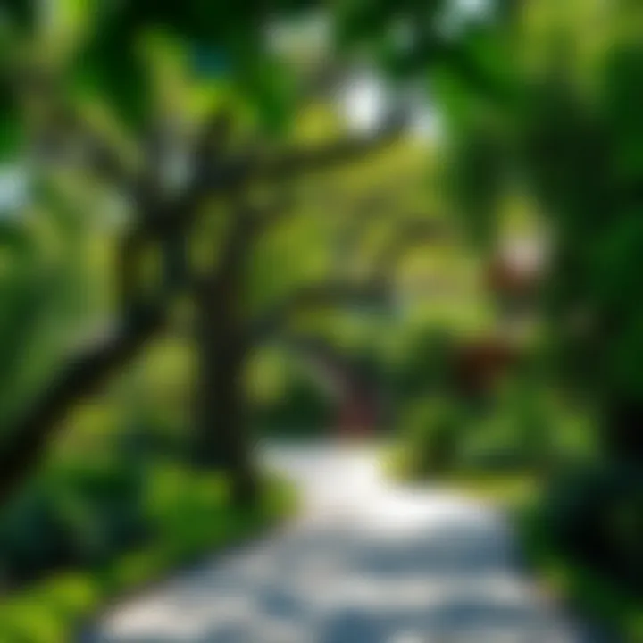 Lush greenery surrounding the homes in Laurel Canyon Terrace
