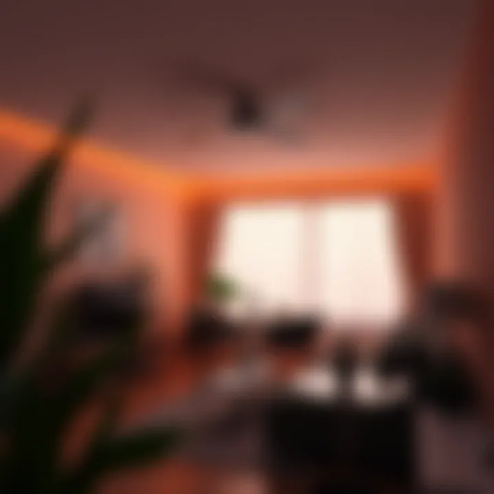 Notable First Time Renting Checklist: Essential Considerations for New Tenants