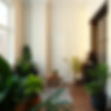First Time Renting Checklist: Essential Considerations for New Tenants Summary First Time Renting Checklist: Essential Considerations for New Tenants Summary