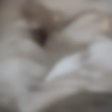 Understanding Duvet Materials: A Guide to Comfort Close-up of various duvet materials and textures