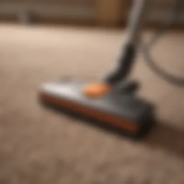 Essential tools for effective carpet cleaning