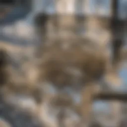 Natural remedy ingredients for drain cleaning