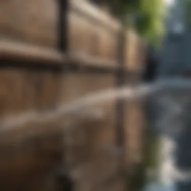 Understanding Drainage Issues Common causes of clogged drains